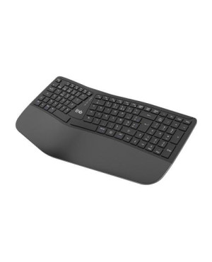 KBWERGO-4629-10290