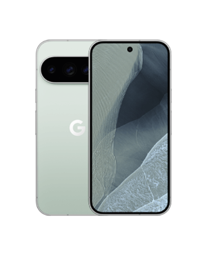 Google Pixel 11 Pro 5G Double SIM 12 Go de RAM 256 Go - Gris brumeux