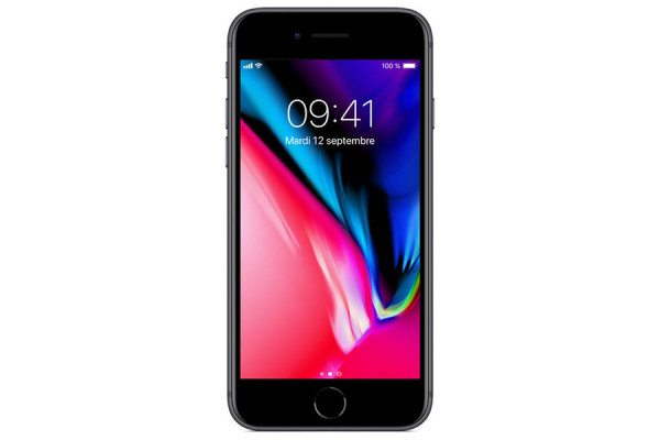 Apple Iphone 8 64Go Gris Sidéral (Reconditionné Grade A+)